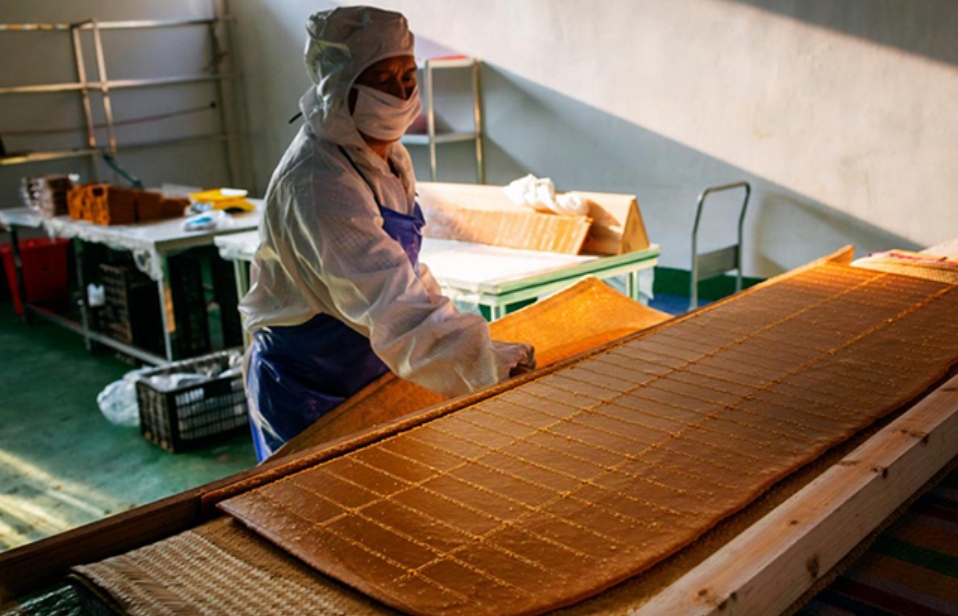 百花齐放景象新——麻阳舒家村乡乡贤反哺家乡二三事